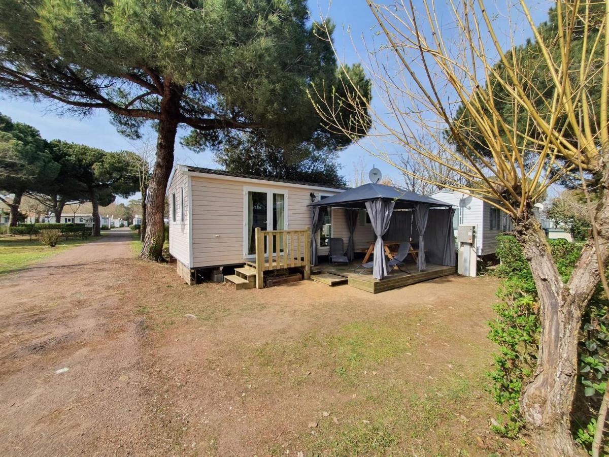 Camping A La Cotiniere-Piscine-Bungalow Cosy Entre Ocean Et Pinede エクステリア 写真